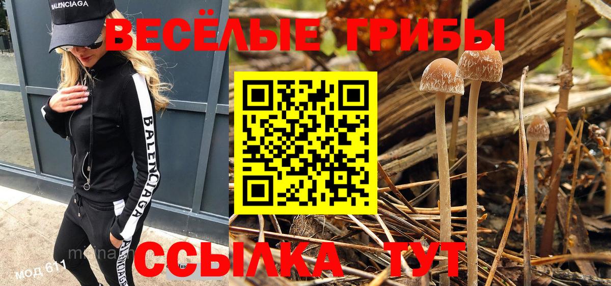 Галлюциногенные грибы мухоморы  Вход с VPN  Ачхой-Мартан 