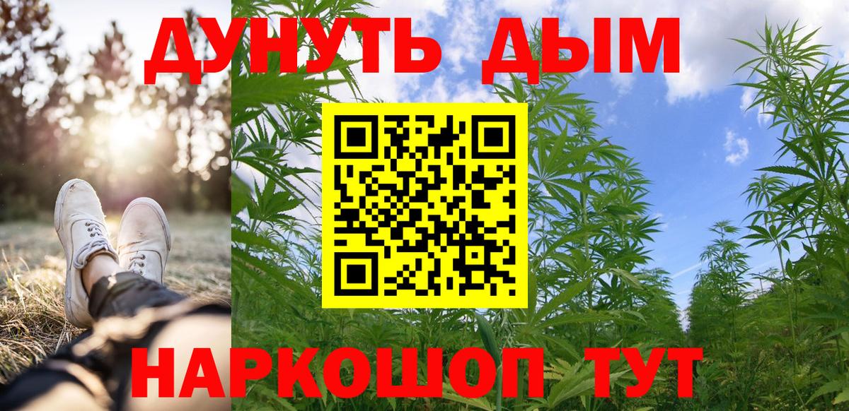 Бошки Шишки план  Конопля VHQ  Ачхой-Мартан  Вход с VPN 